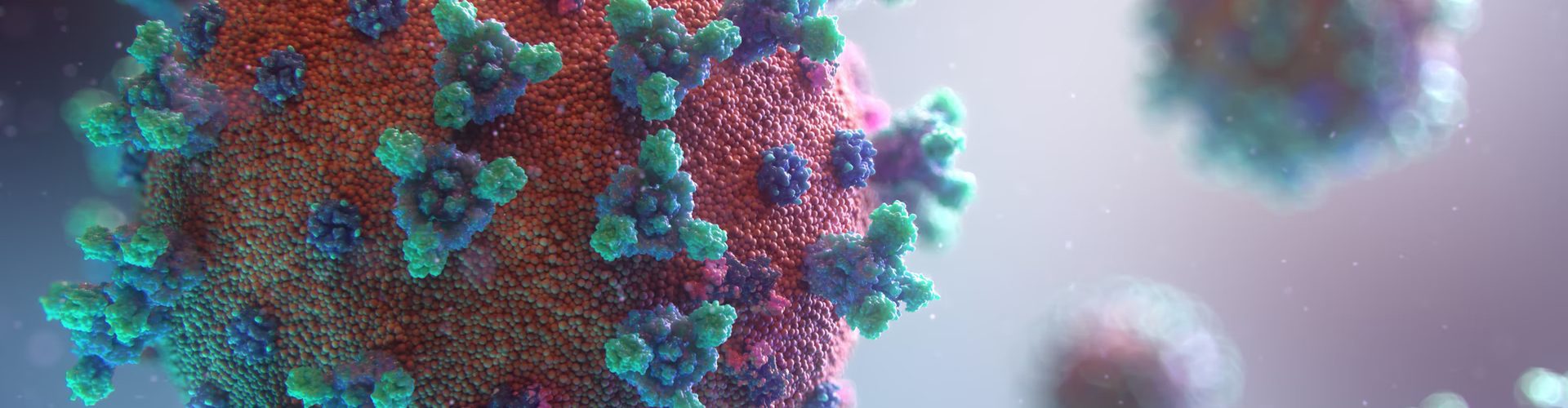 bloedtest corona antistoffen waarde