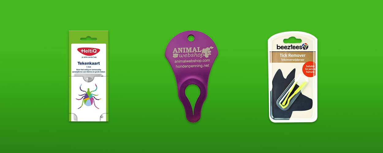 tekentang featured image