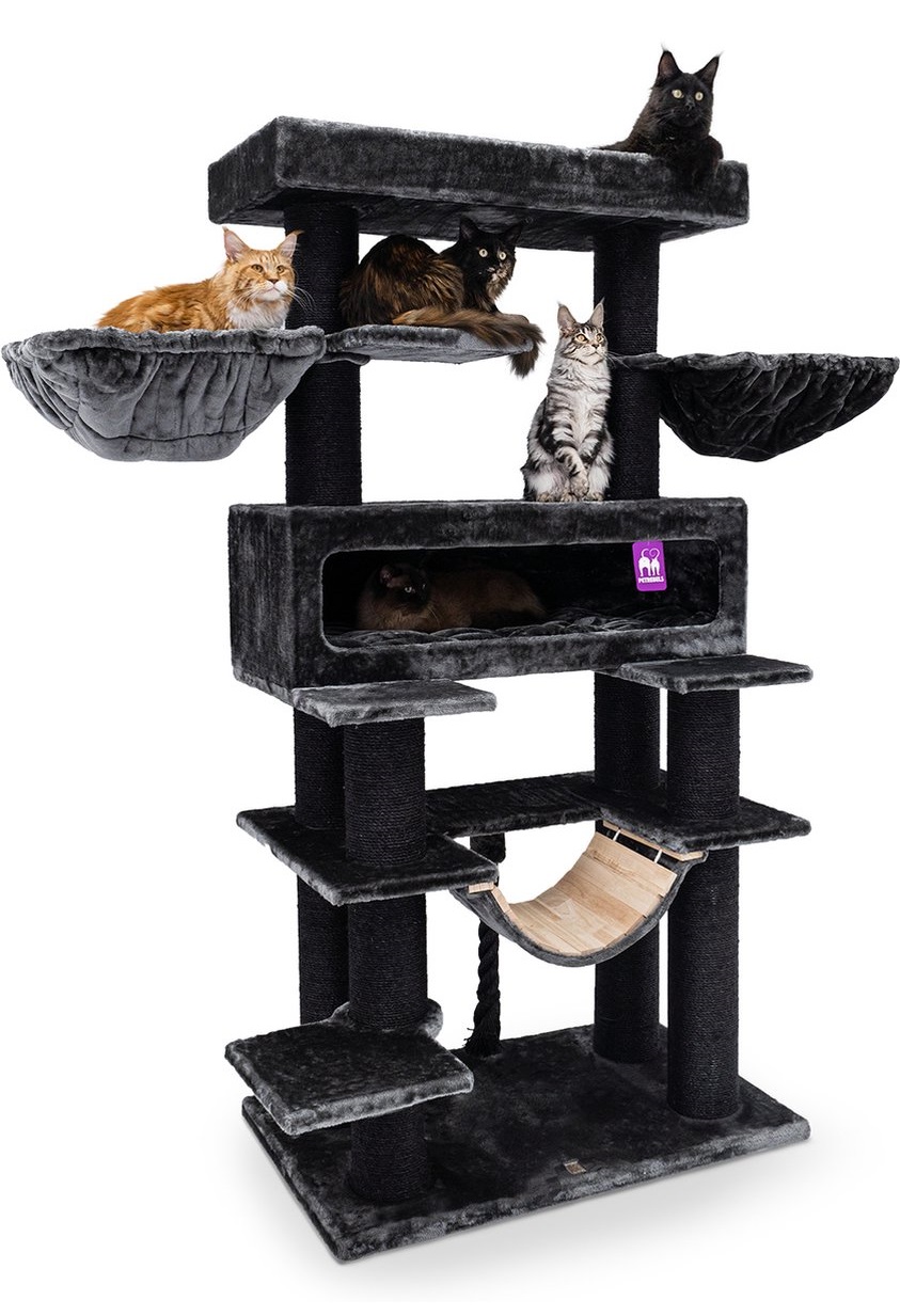 Petrebels Lookout 198