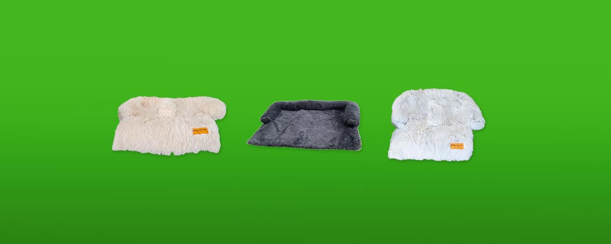 hondendeken-bank-featured-image