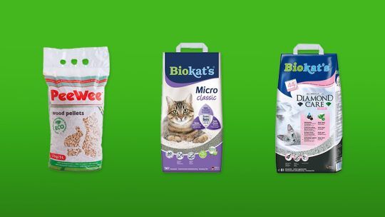 kattenbakvulling-featured-image