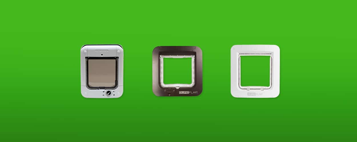 kattenluik featured image