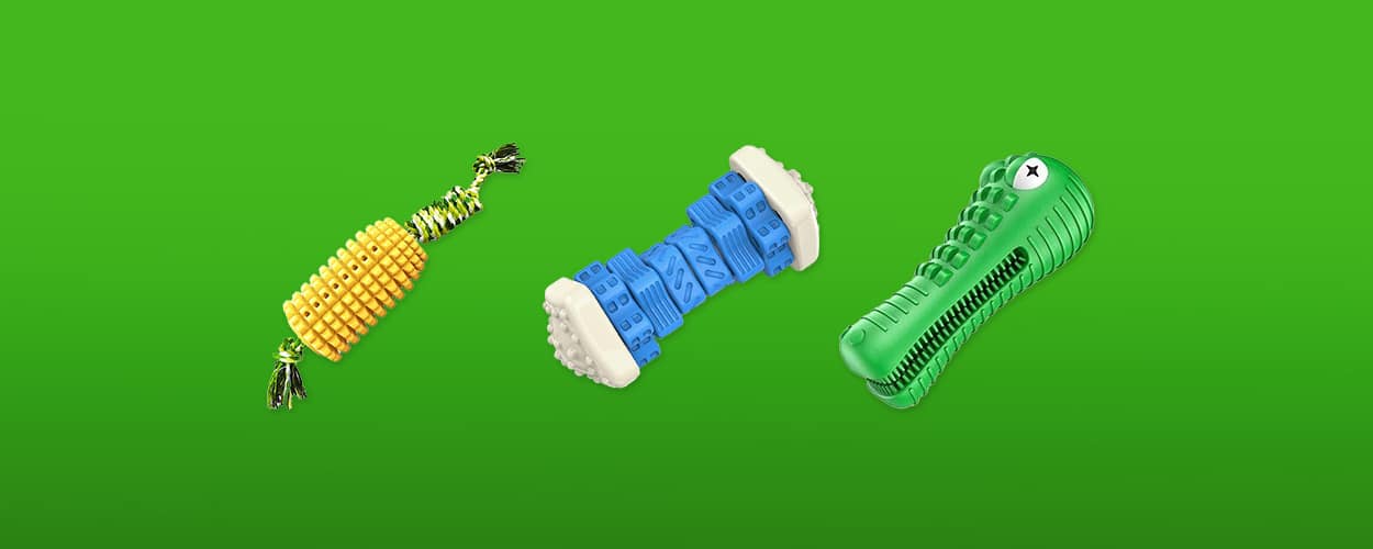 kauwbot puppy featured image