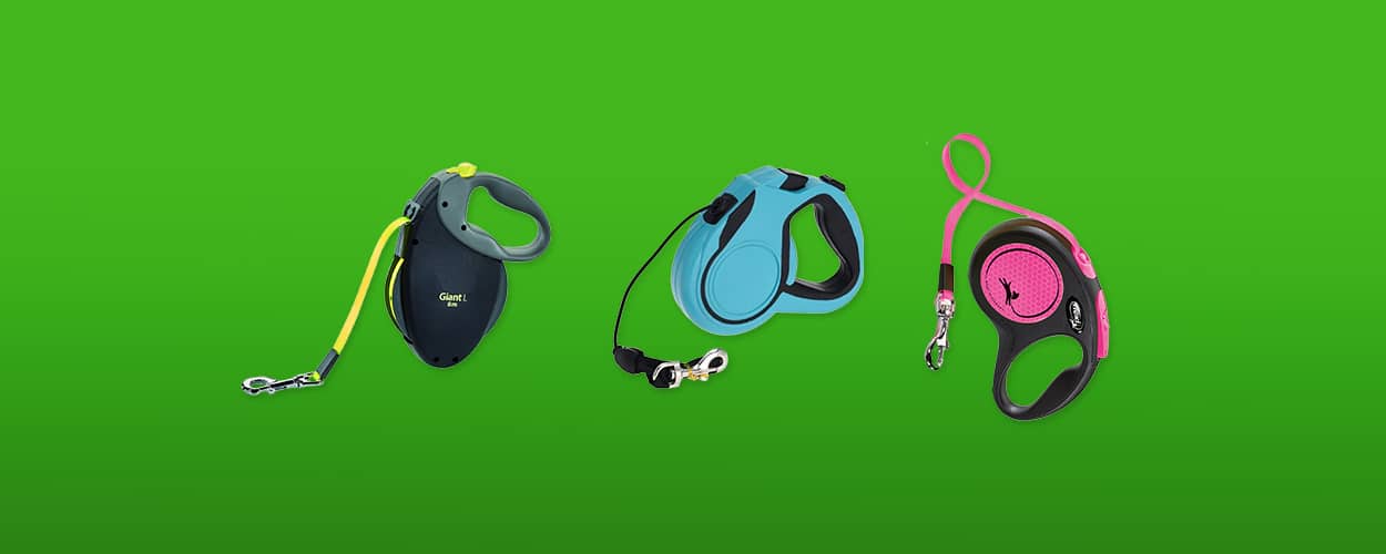 rollijn-hond-featured-image