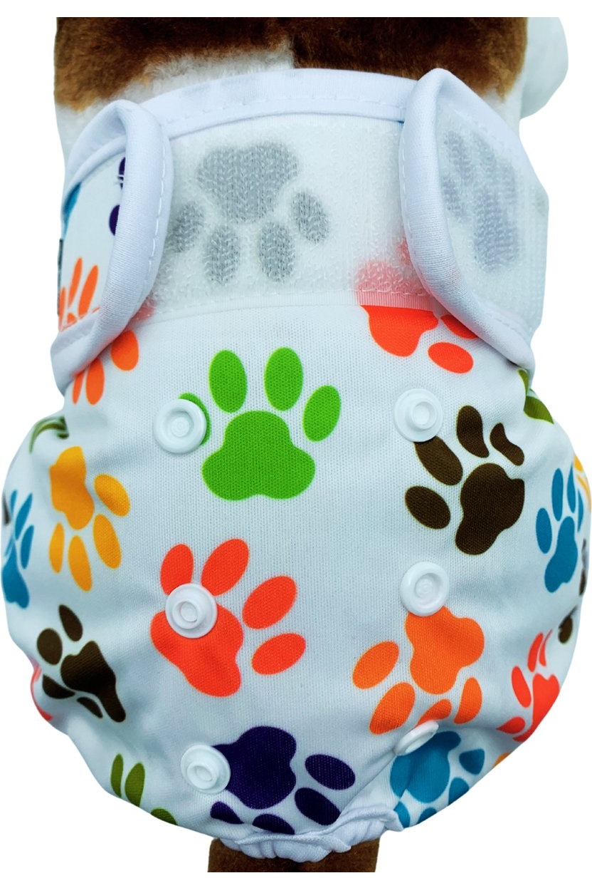 Sharon B Hondenbroekje