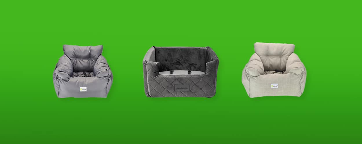 autostoel-hond-featured-image