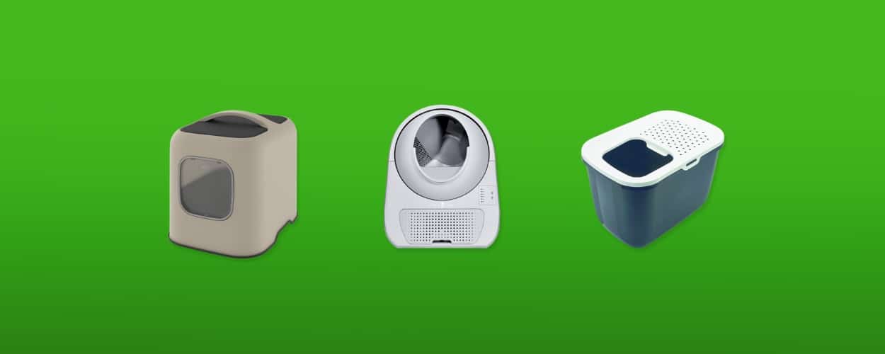 geurloze-kattenbak-featured-image