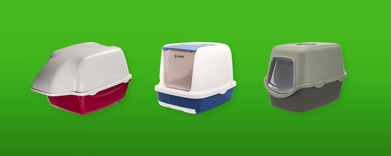 kattenbak featured image