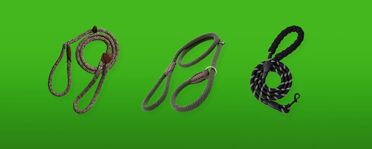 sliplijn-hond-featured-image