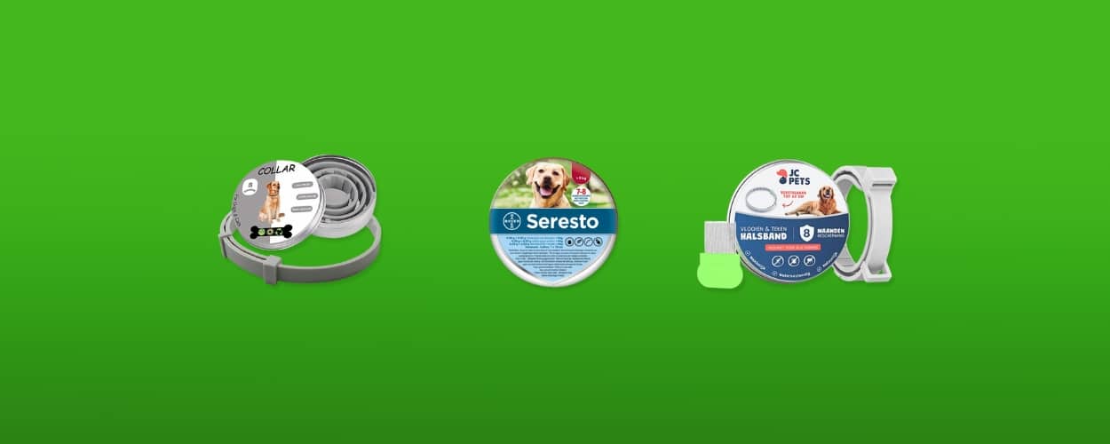 vlooienband hond featured image