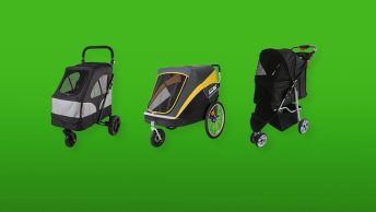 hondenbuggy-featured-image-3