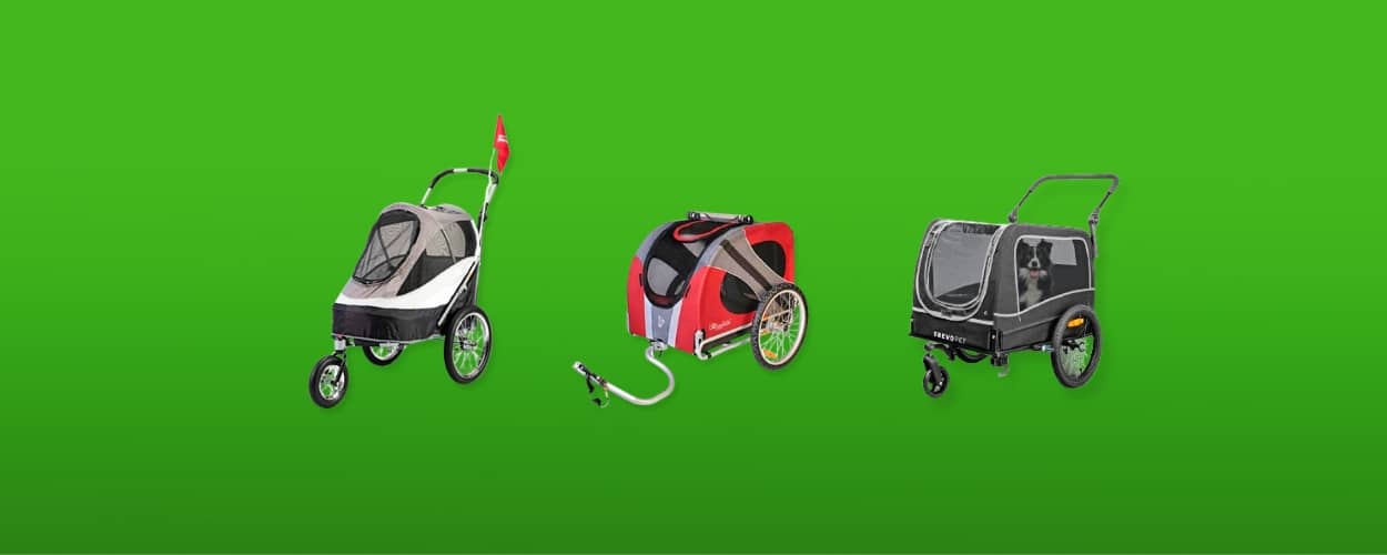 hondenfietskar featured image 3