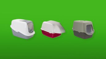 kattenbak buiten featured image