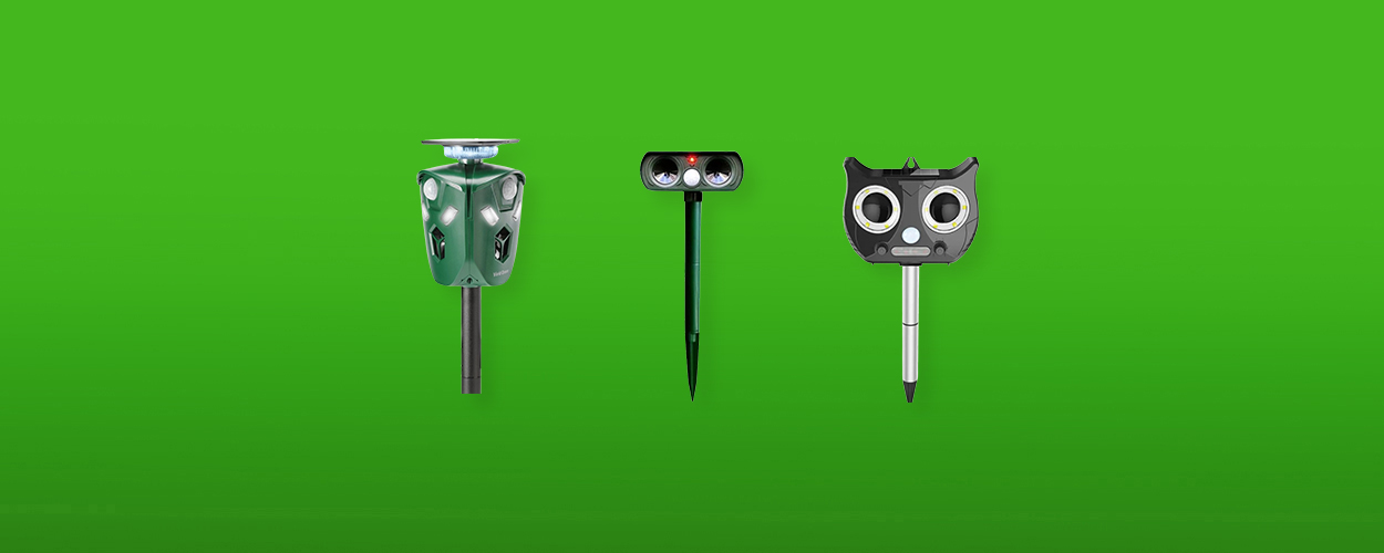 kattenverjager-featured-image-3