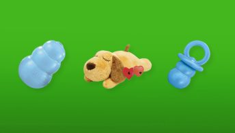 puppy speelgoed featured image