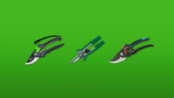 snoeischaar-featured-image