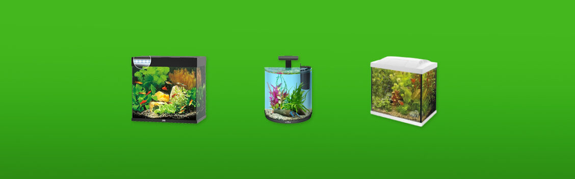 aquarium-featured-image