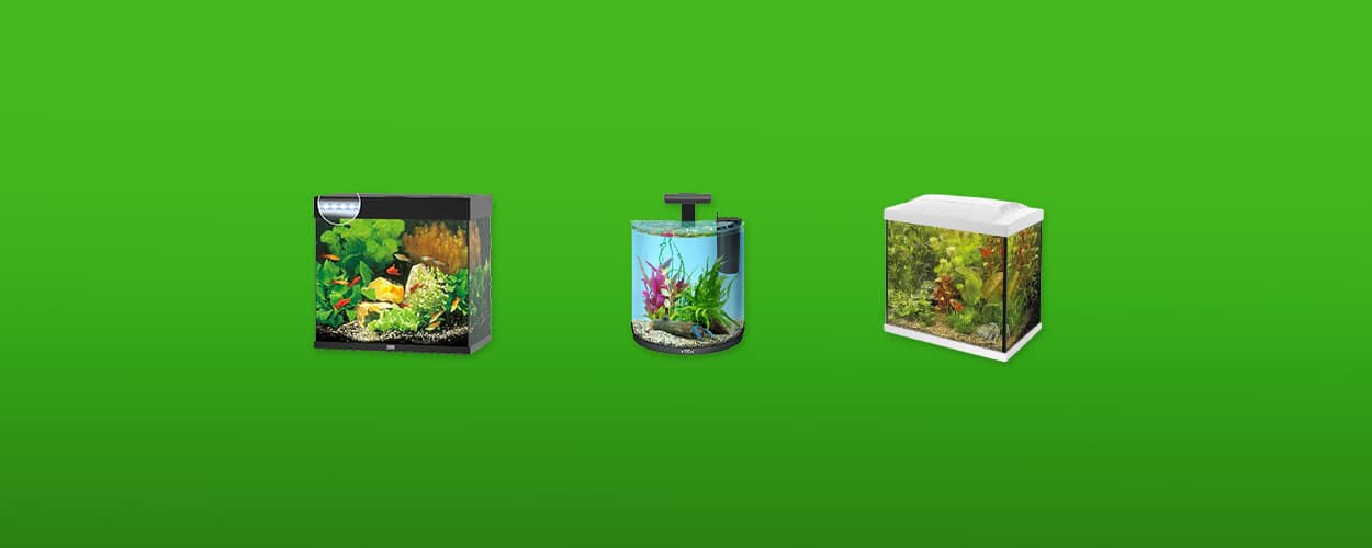 aquarium-featured-image