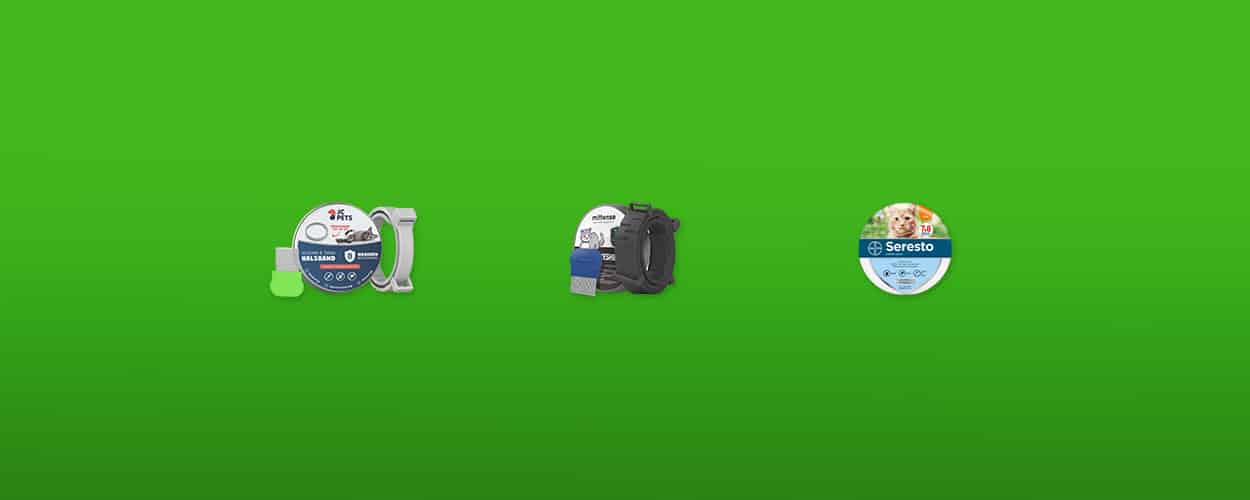 Vlooienband-kat-featured-image