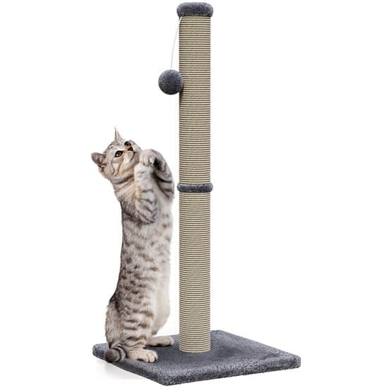 Avalo Krabpaal met Speelballetje