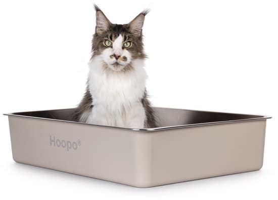 Hoopo Pool XXL Kattenbak