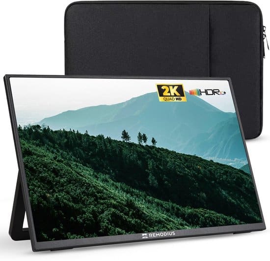 Remodius Portable Monitor