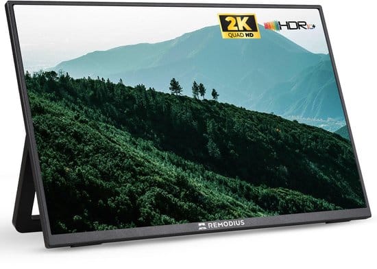 Remodius Portable Monitor