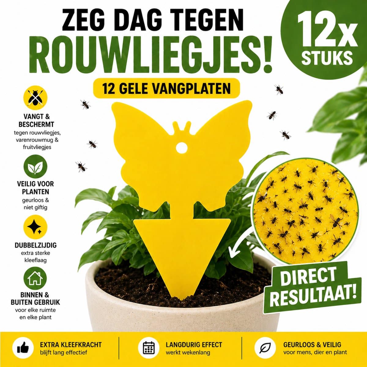 Professor Q Insectenvanger 12 stuks